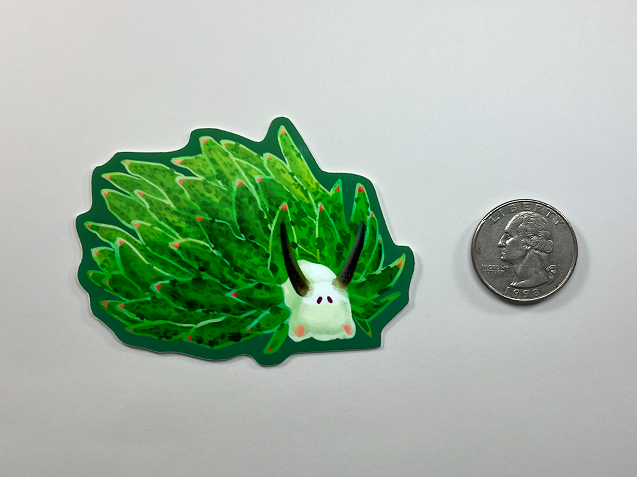 Leafy Sheep Sea Slug | Vinyl Sticker