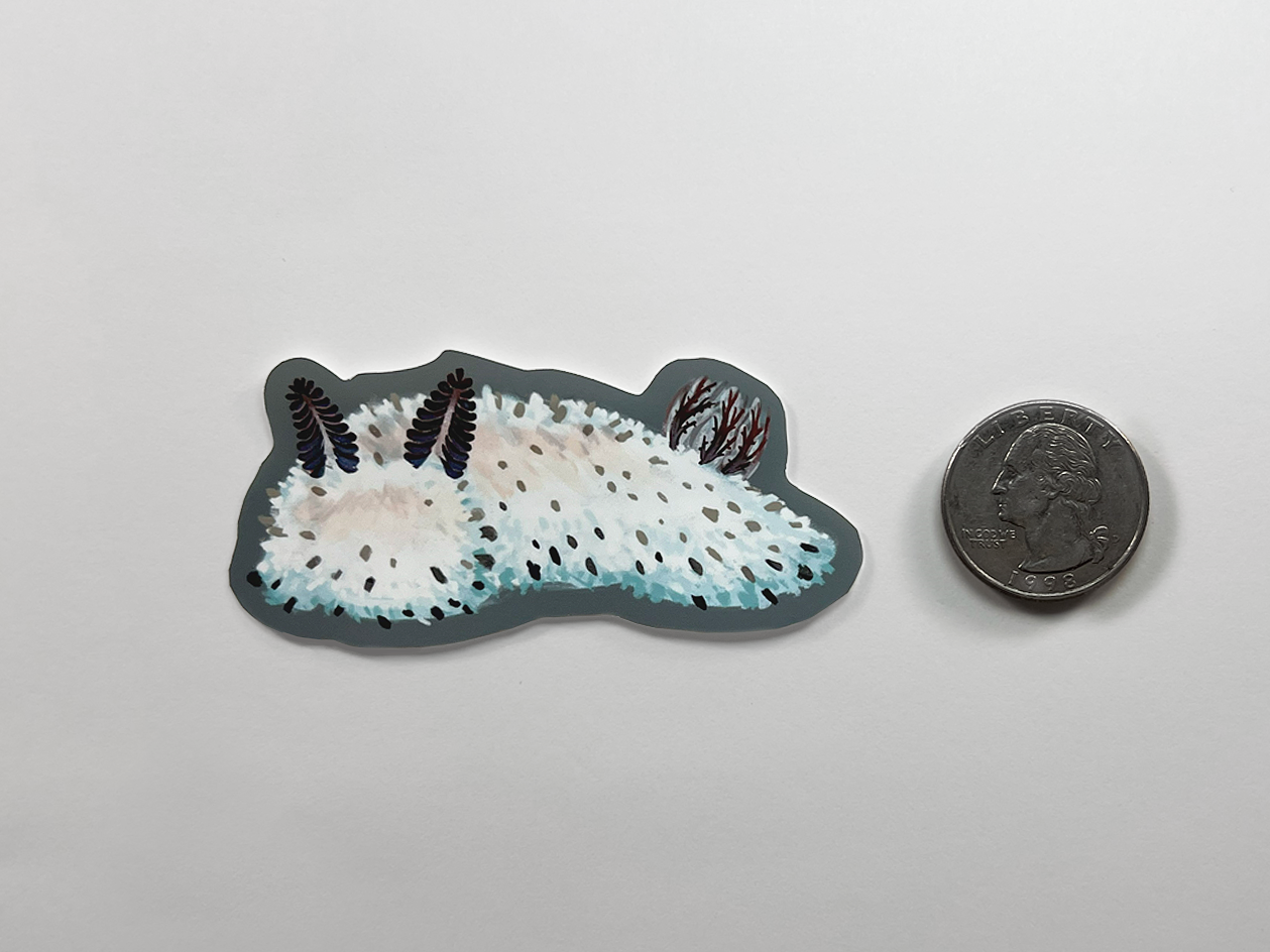 Sea Bunny Sea Slug | Vinyl Sticker